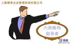 六西格瑪管理中倡導(dǎo)者的職責(zé)是什么？